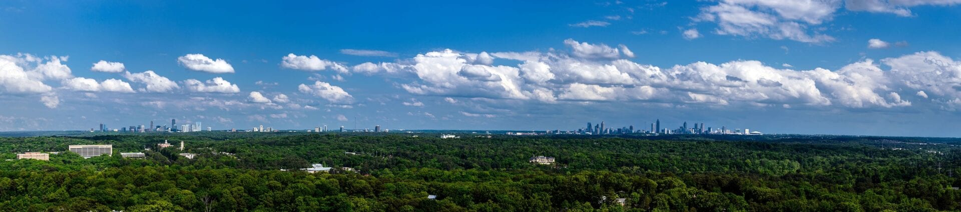 The City of Atlanta has a lush green canopy when viewed from above.
